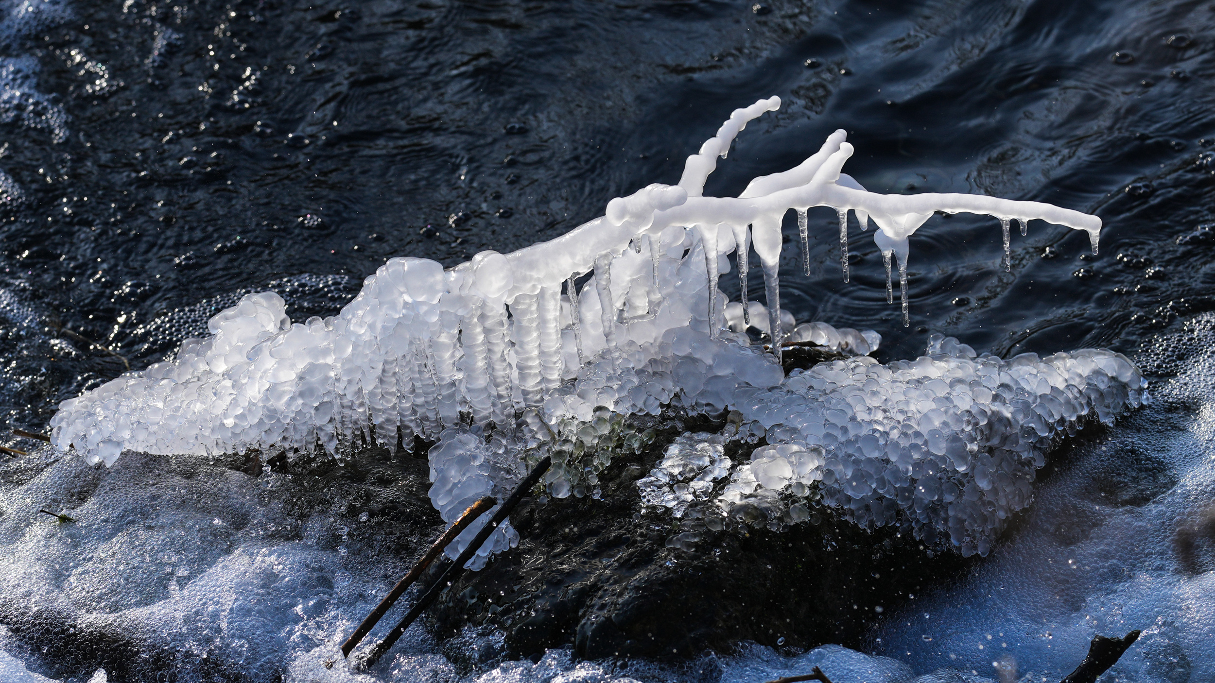 "Eiskrokodil" an der Tauber, nach vorangegangener Nacht mit minus 14°C